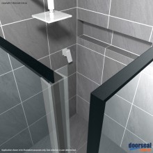 SH002 Shower Screen Seal (10mm glass)